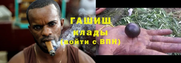 индика Алексеевка
