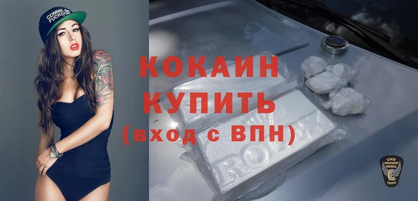 индика Алексеевка