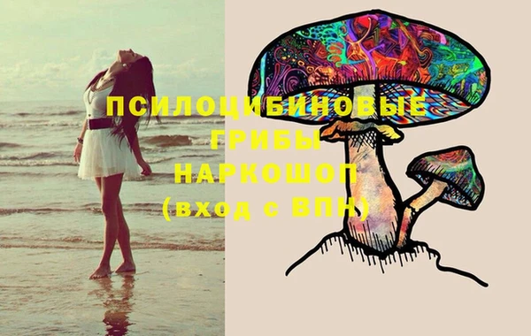 индика Алексеевка