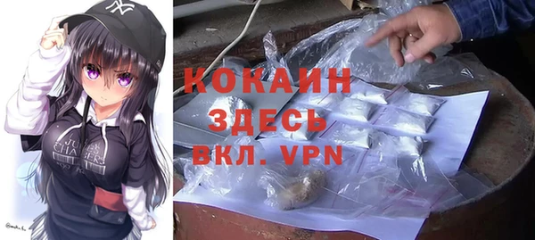 крисы Алзамай